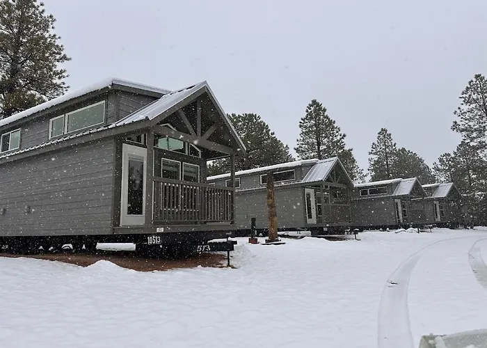 Cozy By Forest View 5b Chalet Williams