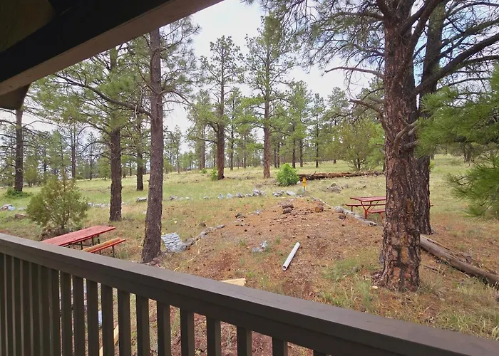 Cozy By Forest View 5b Chalet *